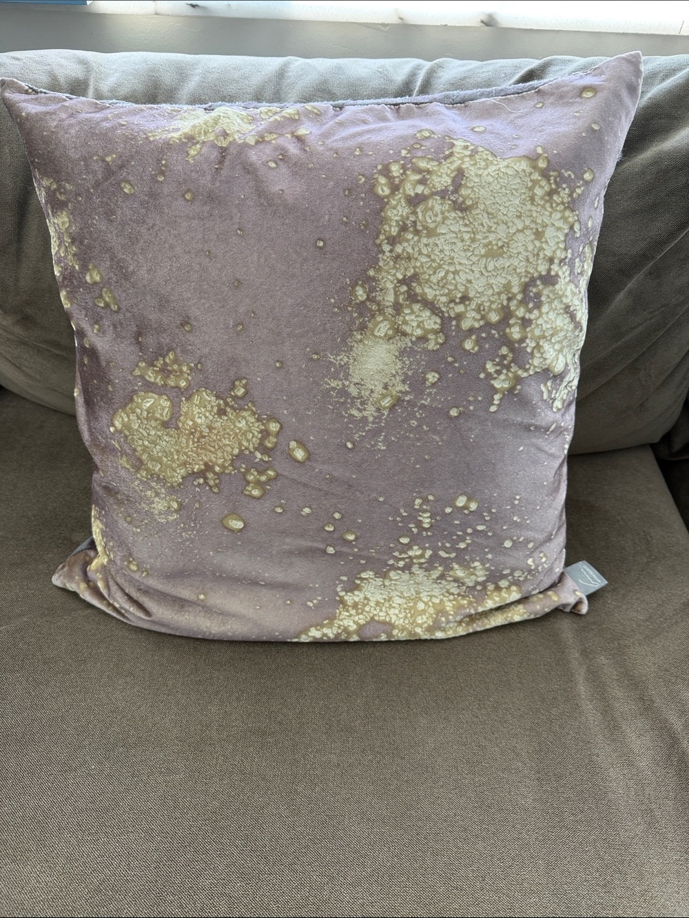 Aviva Stanoff Signature Velvet Mineral Pillow